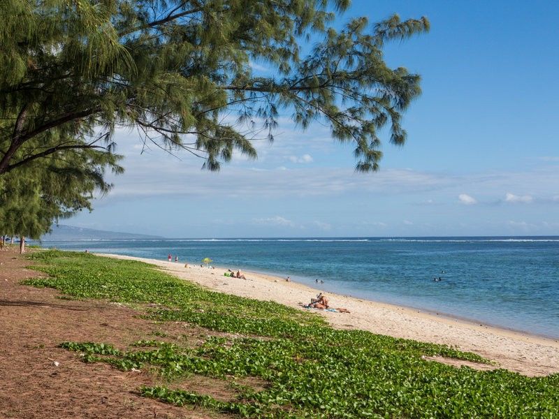 Le Nautile Beachfront Saint-Gilles Les Bains Zewnętrze zdjęcie