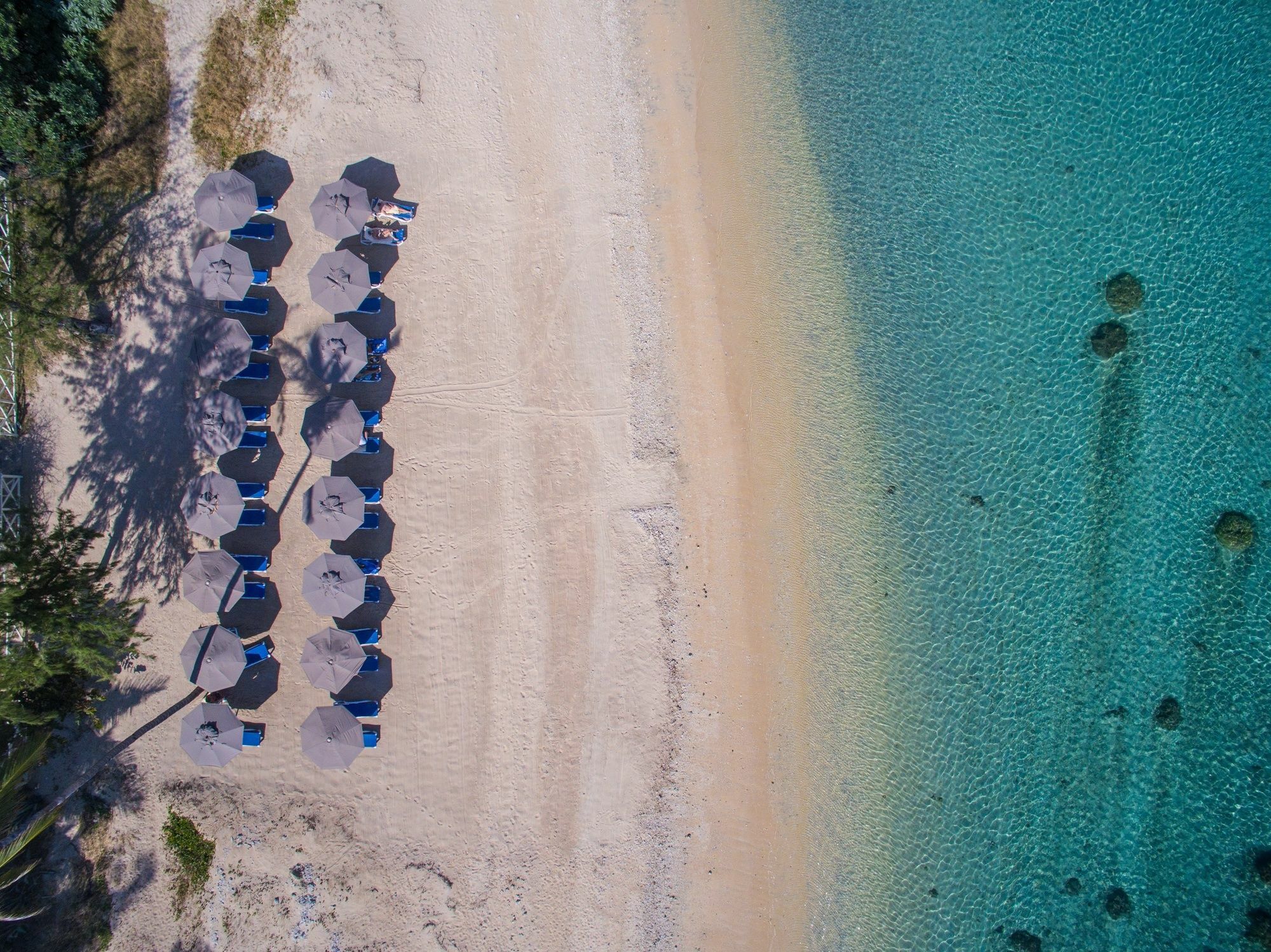 Le Nautile Beachfront Saint-Gilles Les Bains Zewnętrze zdjęcie